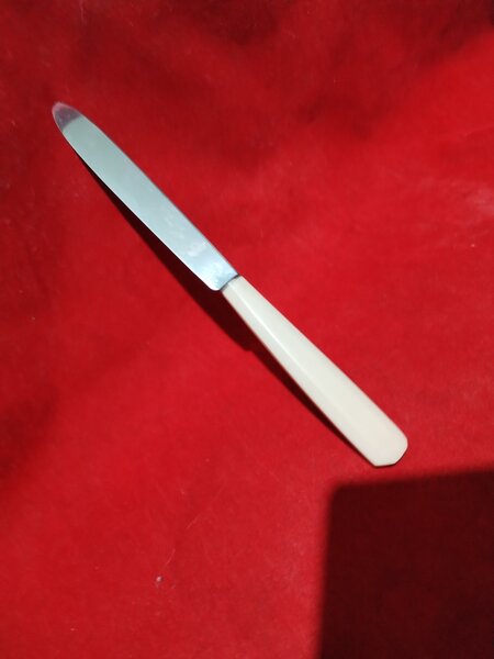 Caseta rara cu 10 cutite franceze Maison Renoult J. Thiroux, anii 1920